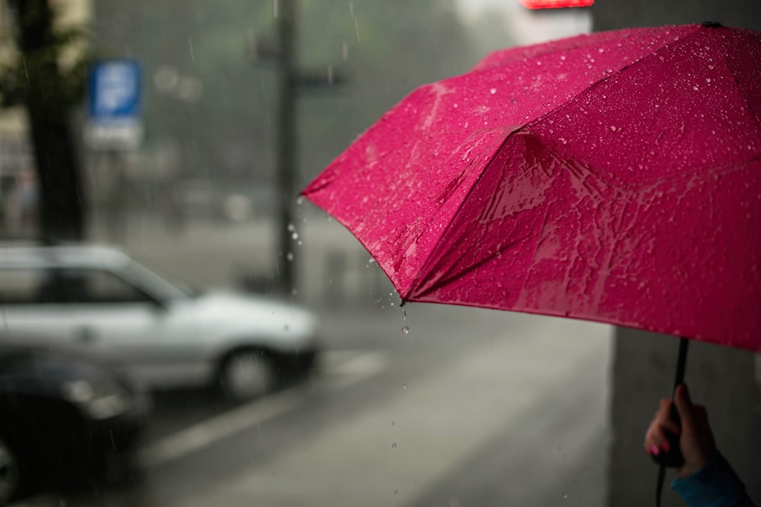 【2025年最新版】晴雨兼用日傘の完全ガイド|UVカット・軽量・折りたたみ傘の選び方とおすすめ7選
